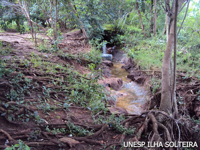 21_marco_2011 (19).JPG